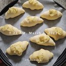 공룡의숨결 | 화성시티투어 <공룡의 숨결> 후기 (2023년 3월 4일)