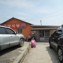 금강백반 이미지