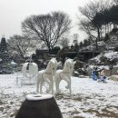 아름다운관광농원화수목 이미지