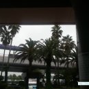 동성상회 이미지