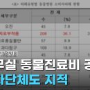 J.K 펫샵 이미지