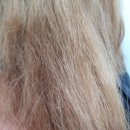 티나헤어샵 이미지