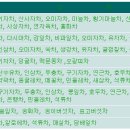차(茶) Daum카페
