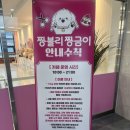 짱블리 짱금이 이미지