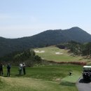 로얄카인테리어 이미지