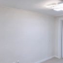 데저트크림 1 이미지