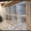 바우밸리 이미지