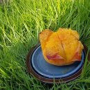 복상농장 이미지