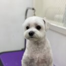 라미살롱 이미지