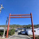 작은등샘 이미지