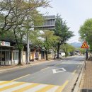 경주 가볼만한곳, 황리단길에서 오릉까지 도보 여행지 후기