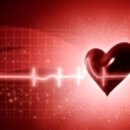 트로이짐 이미지