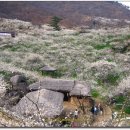 다압면 섬진강 매화마을 인근 이미지