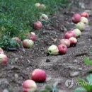 서강원농장 이미지