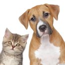 아너스 약국 이미지