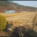 사기소리마을회관 이미지