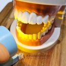 튼튼내이사랑치과의원 이미지