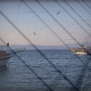 청도훼미리랜드 이미지