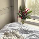 꽃사랑플라워 이미지