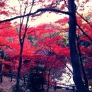 승지사
