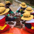 해바라기자연유치원 이미지