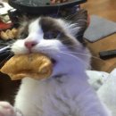 두리그루밍 | 힙합보단 사랑 사랑보단…