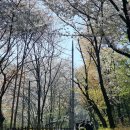 도심코스 | 서울 도심 한눈에! 관악산 연주대 등산코스 후기 (사당→정상→과천 하산)