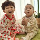 형제세탁 | 아기실내복 알파베베 후기 | 형제룩으로 추천하는 9부 유아 실내복
