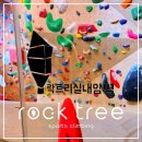 [강남클라이밍/락트리] 작지만 즐길거리 가득한 서울 실내클라이밍장! 락트리클라이밍 강남점 방문후기