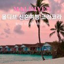 별이쏟아지는바다리조트 | 몰디브 여행 신혼여행 리조트 완벽했던 코라코라 추천 여행덕후의 솔직 후기 총정리