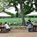 로터스커피앤베이커리 이미지