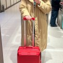 볼트짐 | 명동 롯데백화점 " 리드볼트 " 캐리어 | 오프라인 매장 방문 후기