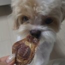 링고 | 대구 강아지 수제간식 링고네식탁 강아지가 좋아하는 간식 후기