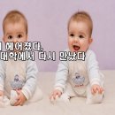 중상코인노래 이미지