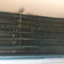 신우한의원 이미지