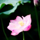 은평치과의원 이미지