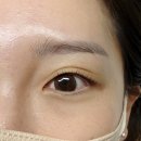 강남논현점현대블루핸즈 | [강남논현 속눈썹]멜로즈뷰티 강남점 속눈썹 펌 후기 🤍 (솔직후기)