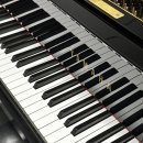 와이스튜디오(Y studio)