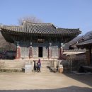 대한불교조계종용주사 Daum카페
