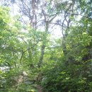 진원면사무소 이미지