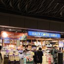 신사2-011 | "이거 어디서 샀어?" 지인들 반응 폭발한 후쿠오카 칼디 쇼핑 필수 리스트