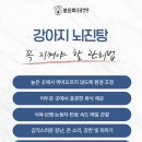 석적동물병원 네이버블로그