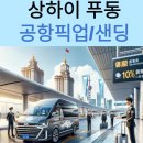 그린케키(GREEN CAKE) | 늦은 4월의 상하이 여행 후기 1일차 - 압도된 대륙 스케일 [만두투어,난징동루,와이탄 야경,동방명주,헌...