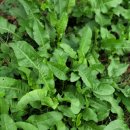 천연발효공방 이미지