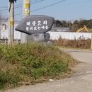 천사랑노인복지센터 Daum카페