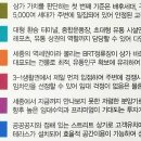 씨티오브드림 이미지