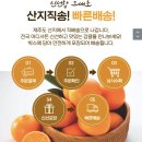 단하루🍊고당도 타이벡감귤 4.5kg 5,500원부터~ 이미지