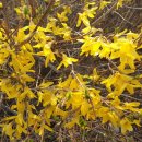 새동네1길 이미지