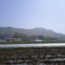 등나무1,2,3.길 이미지