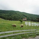 하도목장 이미지